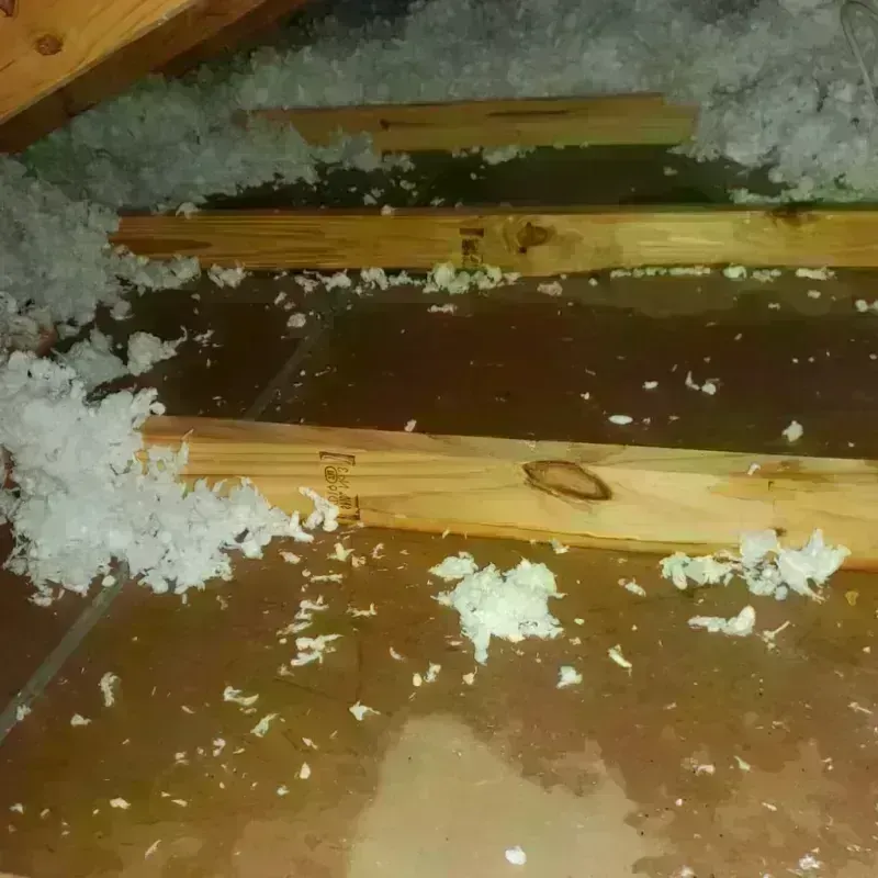 Attic Water Damage in Hudson, NY