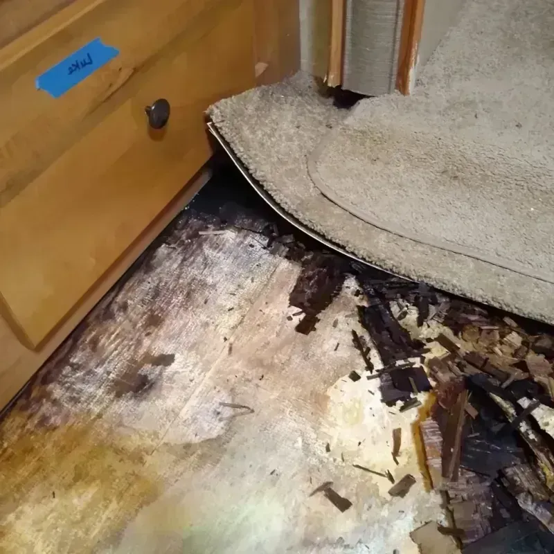 Best Wood Floor Water Damage Service in Hudson, NY